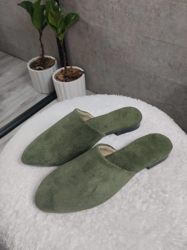 جلوبسته اریکا۲۱۴