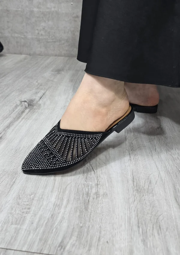 جلوبسته تیارا۲۹۵