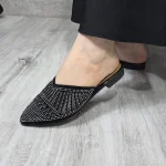 جلوبسته تیارا۲۹۵